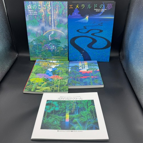 Hiroo isono art works - isono,