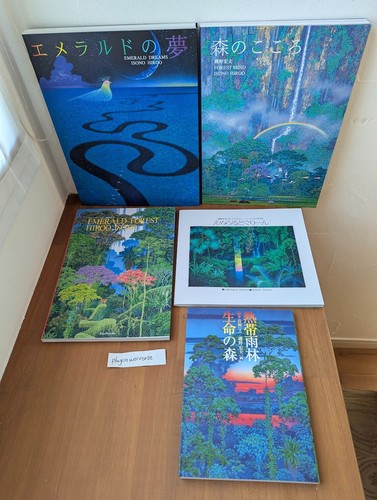 Hiroo isono opere arte sogno - hiroo, d'arte